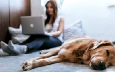 Online angol tanulás kezdőknek és haladóknak